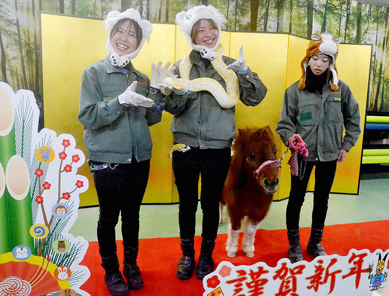 干支の引き継ぎで参加者の写真撮影に応じるビルマニシキヘビとポニー