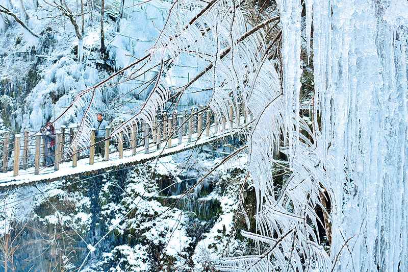 雪化粧をまとった尾ノ内氷柱＝4日午前11時ごろ、小鹿野町河原沢