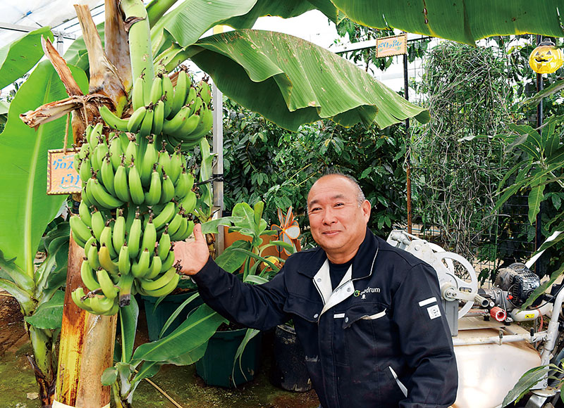 コーヒー農園に植えられたバナナの木と東英雄さん＝久喜市菖蒲町小林