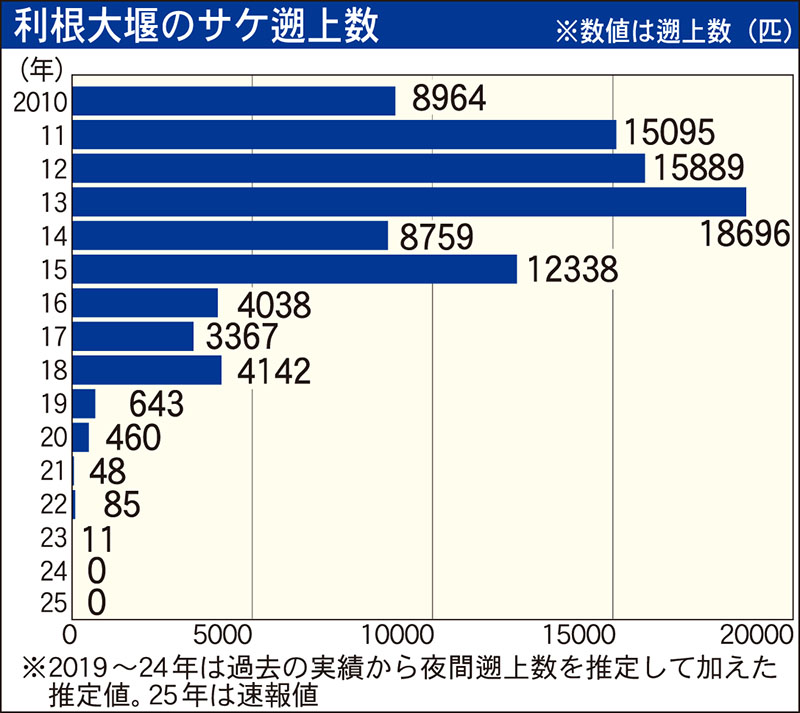 利根大堰のサケ遡上数