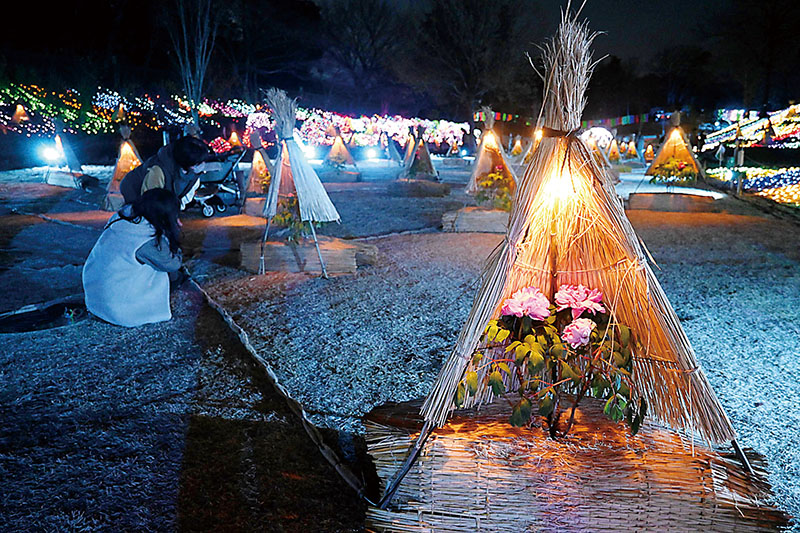 わらぼっちを設置し、ライトアップが施されたボタン