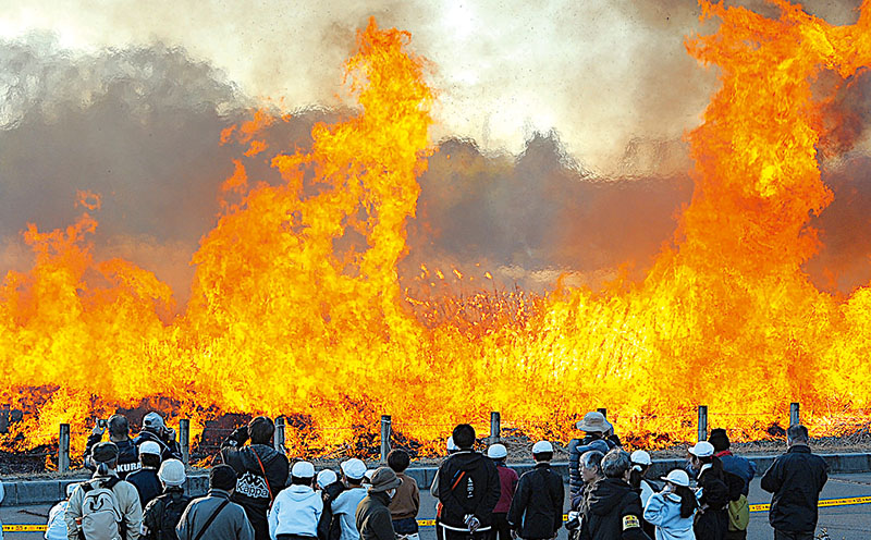 勢いよく燃え広がる枯れ草＝14日午前、さいたま市桜区の田島ケ原サクラソウ自生地