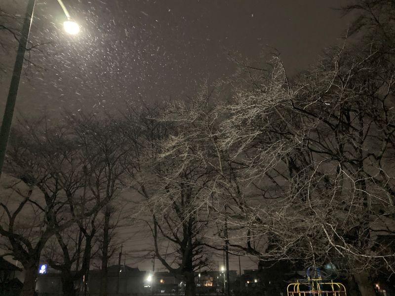 埼玉県さいたま市でも雪が降り始める＝さいたま市北区、7日午後9時ごろ