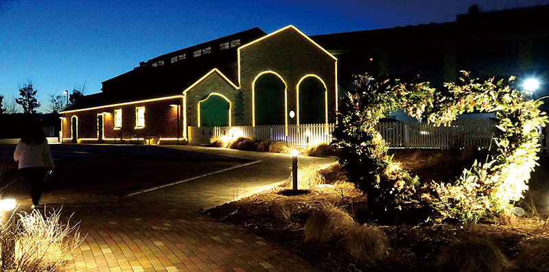 バレンタインデーに合わせ登場したイルミネーション