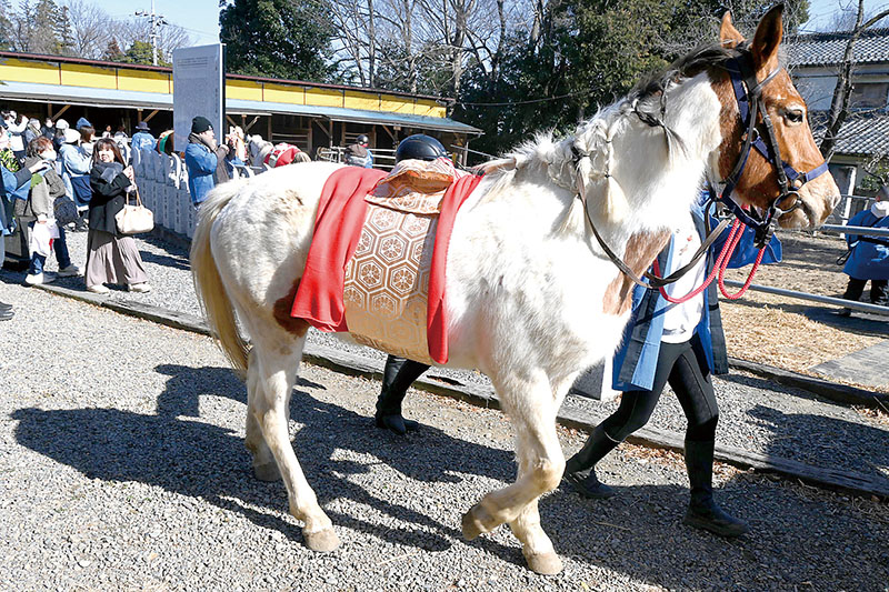 着物の帯を巻いて飾り馬に仕立てた「花馬」