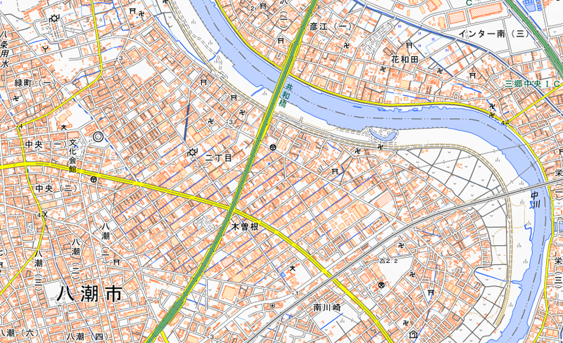 八潮市大字木曽根1009番地1の周辺（国土地理院HPより）