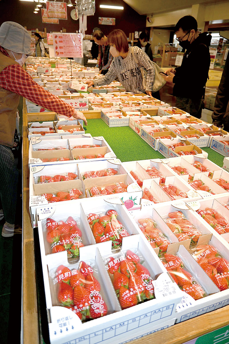 連日大勢の人がイチゴを買いに訪れている「道の駅いちごの里よしみ」
