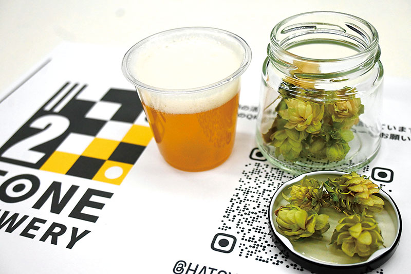 鳩山町内で収穫したホップと、アンズのビールの試作品
