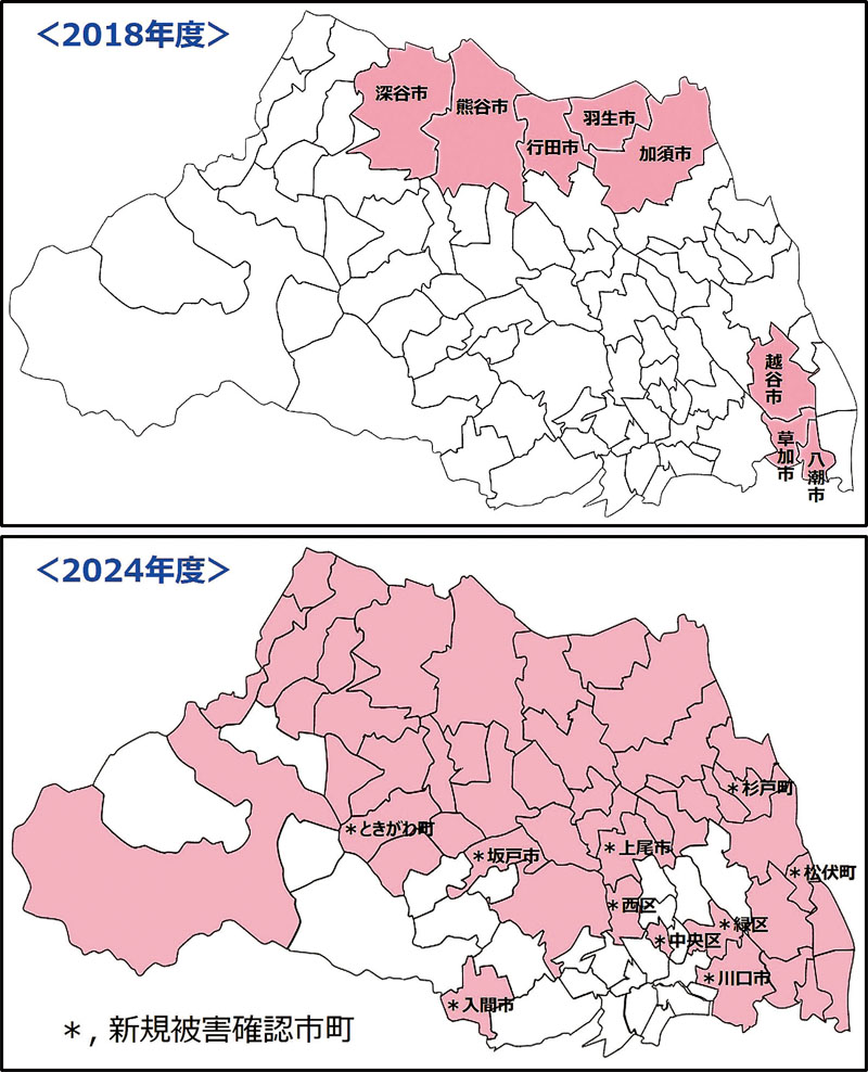 クビアカツヤカミキリの被害が発生した自治体の変遷。上の図が2018年度で、下の図が24年度。ピンク色の自治体で確認されていて、急速に拡大したことが分かる（県環境科学国際センター提供）
