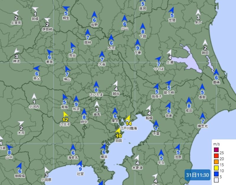 31日午前11時30分の関東各地の風向と風速（アメダス速報値、気象庁HPから）