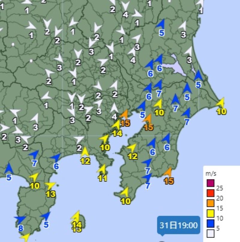 関東南部の風向と風速（31日午後7時、気象庁HPから）
