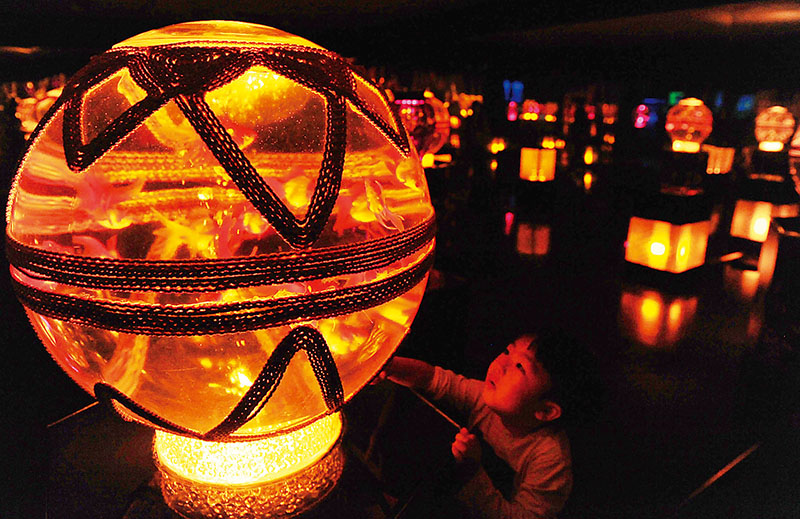 さいたま市の香りがもてなす「うつし金魚の間」