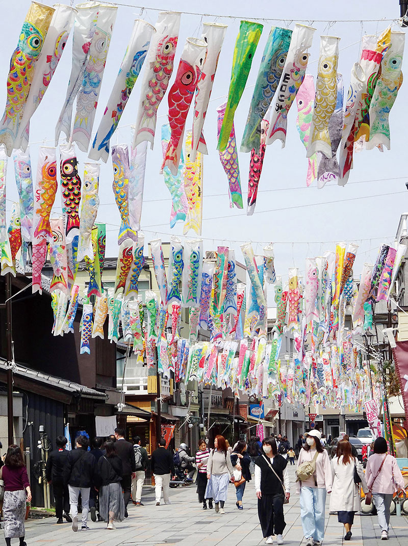 石畳の上で身を泳がせる約800匹のこいのぼり＝川越市の大正浪漫夢通り商店街