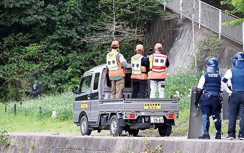 軽トラックの荷台からクマ役に銃を向ける猟友会の射手（しゃしゅ）ら＝14日午後、飯能河原