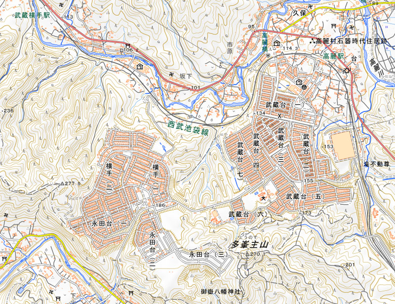 日高市横手の周辺（国土地理院HPより）