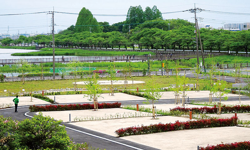 川越市グリーンツーリズム拠点施設のキャンプスペース。奥は伊佐沼