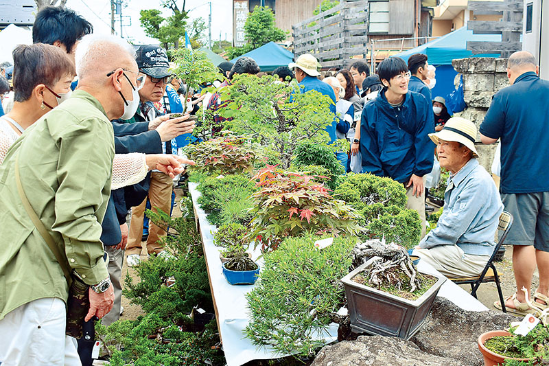多くの来場者でにぎわう「大盆栽まつり」