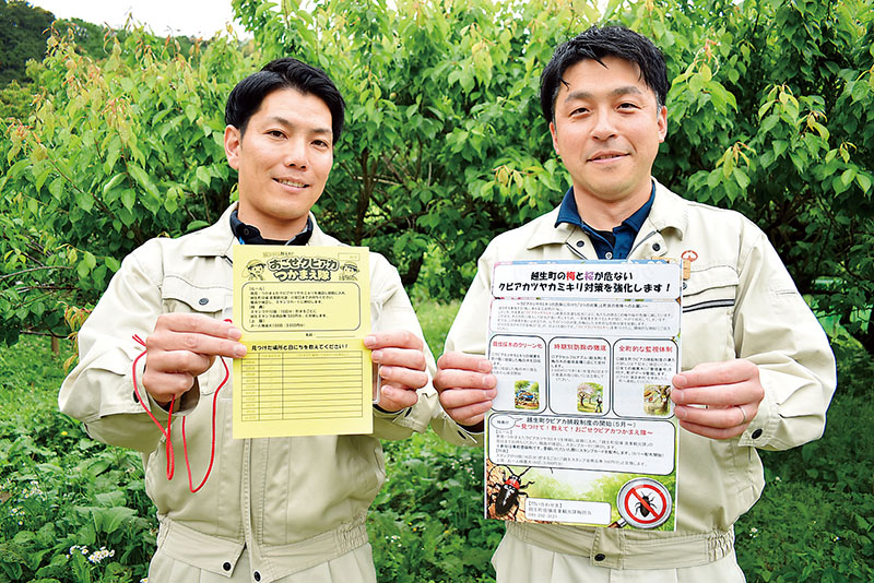 梅林を前にスタンプカードとチラシを持つ越生町職員
