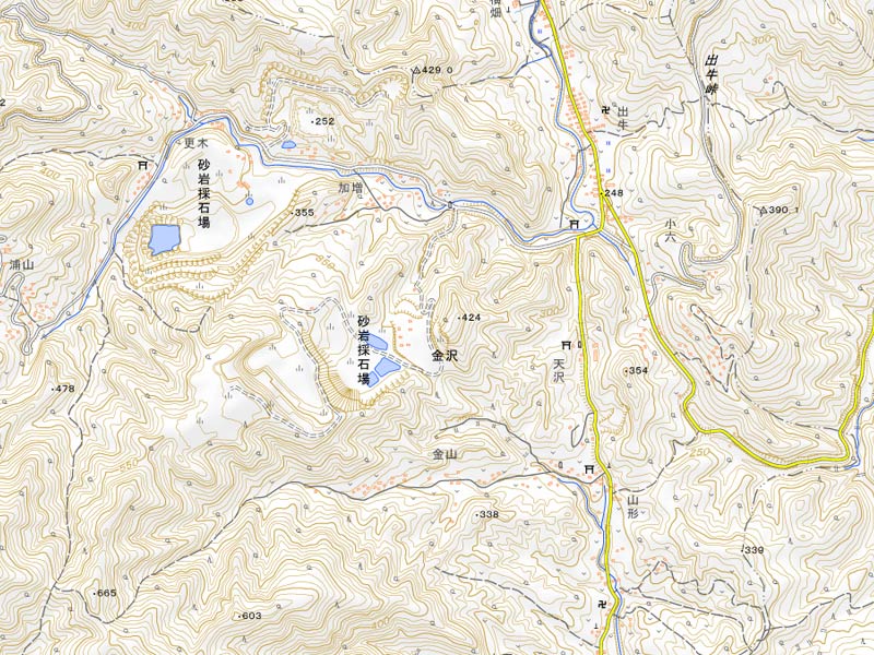 皆野町金沢周辺の地図（国土地理院HPより）