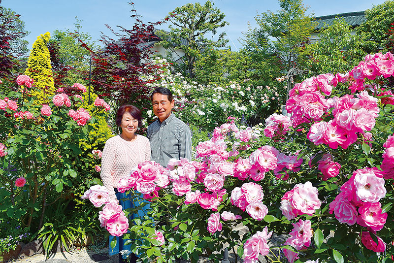 バラが咲き誇る庭を案内する野口晃さん、栄子さん夫妻