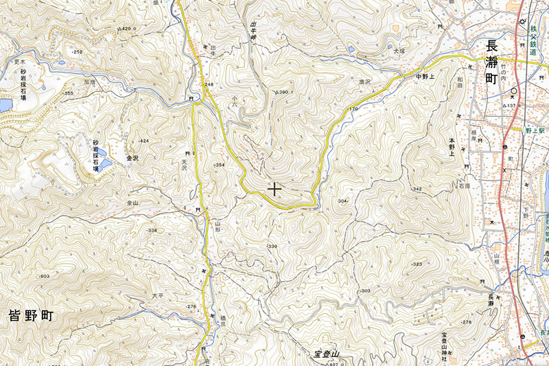 皆野町金沢（国土地理院HPより）
