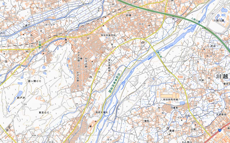 川越花火大会が開かれる安比奈親水公園周辺の地図（国土地理院HPより）