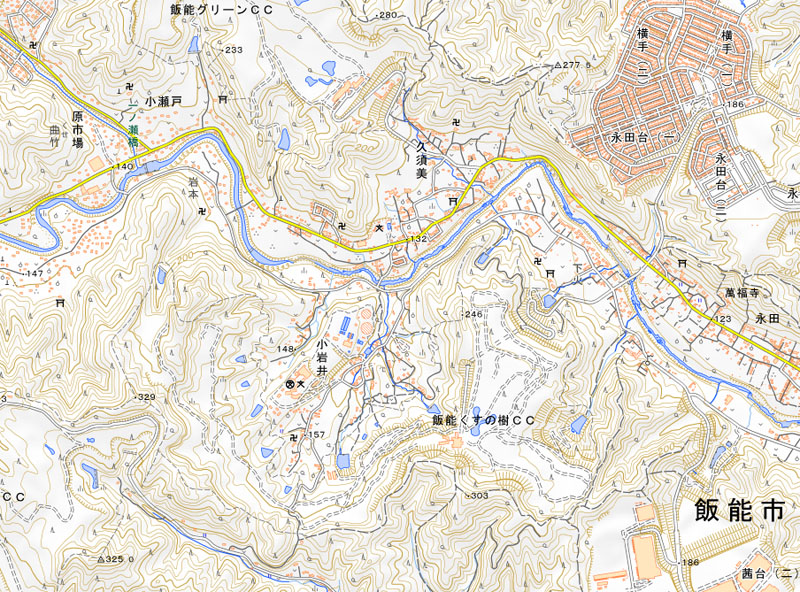 飯能市小岩井の周辺（国土地理院HPより）