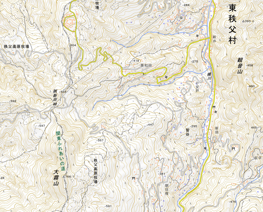 東秩父村皆谷の周辺（国土地理院HPより）