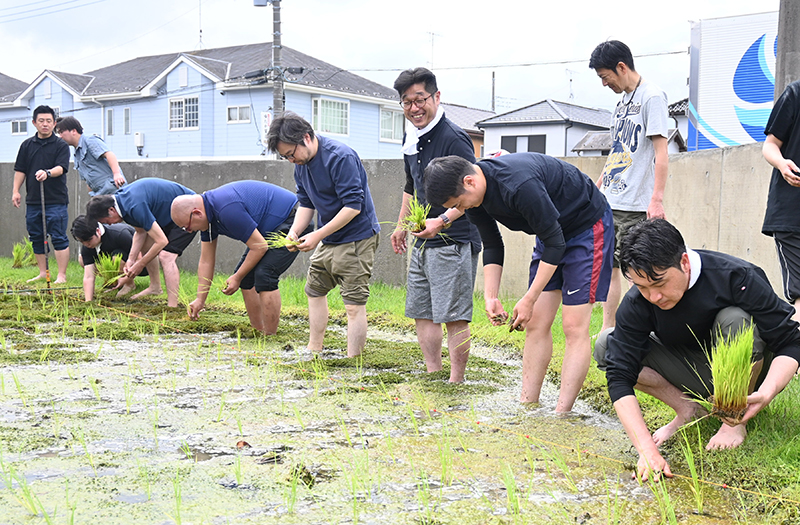 田植えの様子