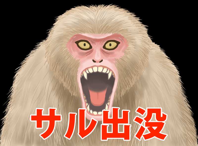 サル出没イメージ