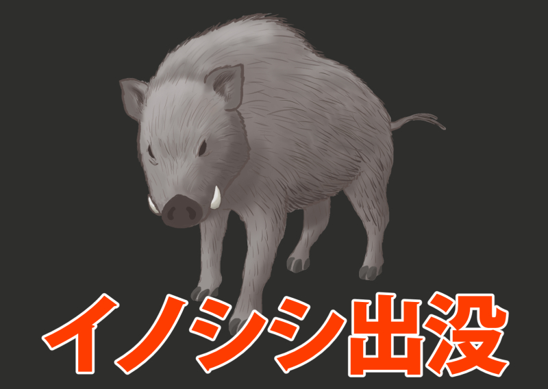 【イラスト】イノシシ出没注意／危険動物