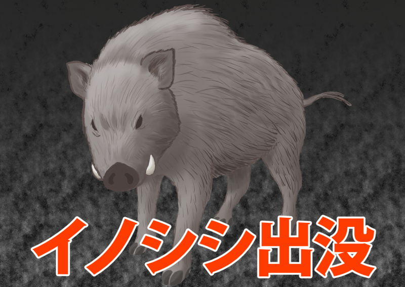 【イラスト】イノシシ出没／危険動物
