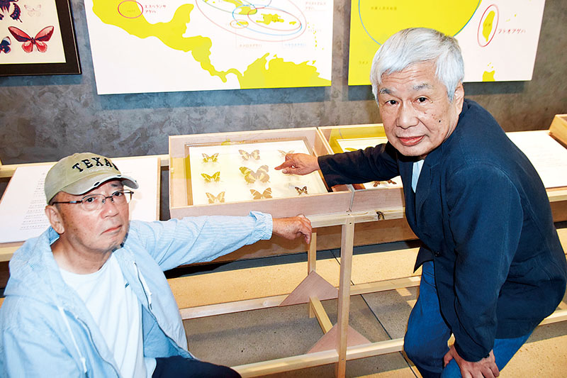 53年前に自分が捕まえたホメロスを指さす安藤俊之さん（右）と尾熊勇さん＝川口市立美術館