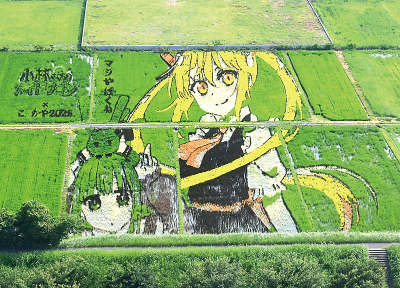 作品に登場するキャラクター「トール」（右）と「カンナ」を描いた田んぼアート＝越谷市増林の東埼玉資源環境組合リユース第1工場展望台
