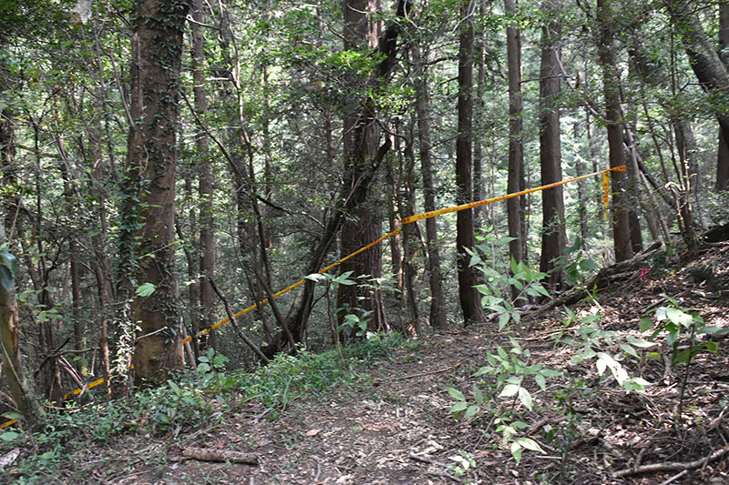 遺体が発見された山林