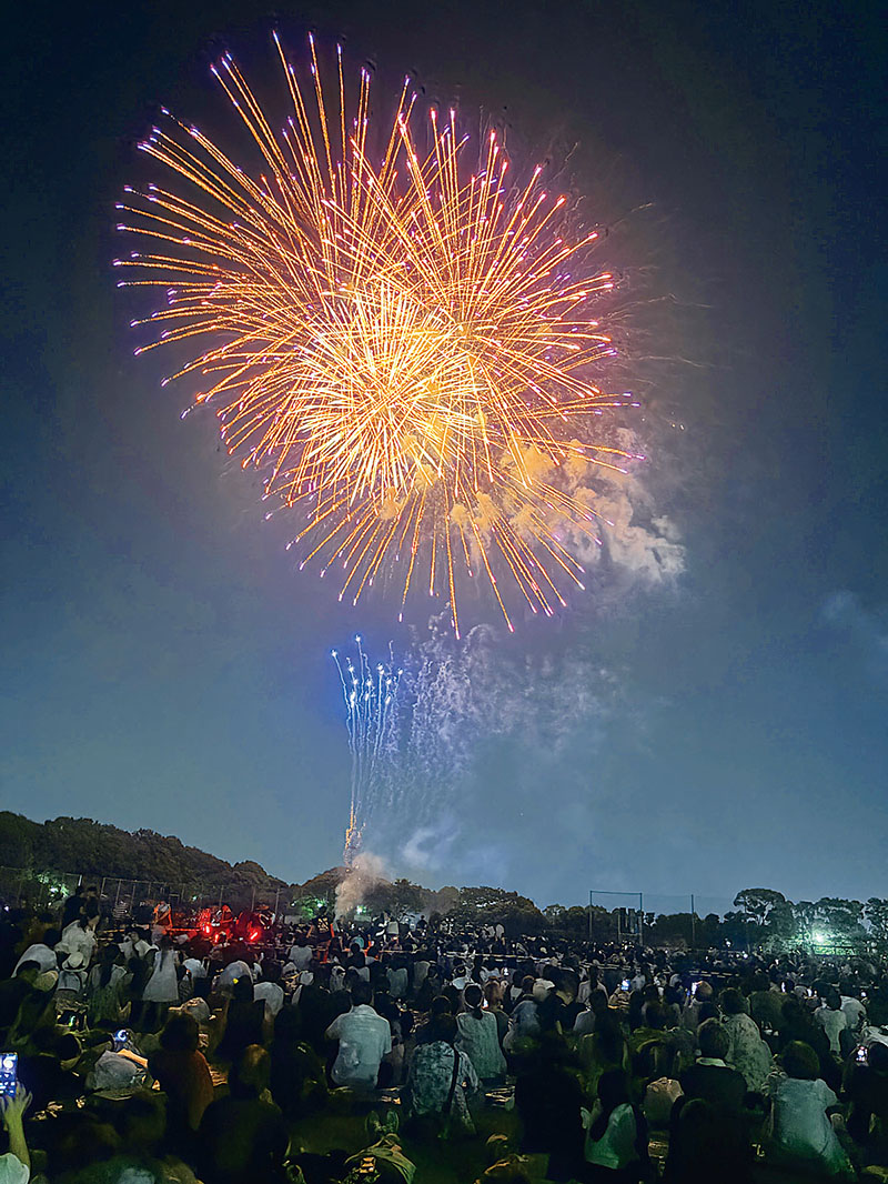夜空に打ち上がった花火