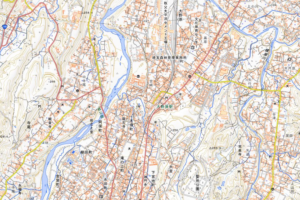 秩父市大野原の周辺（国土地理院HPより）