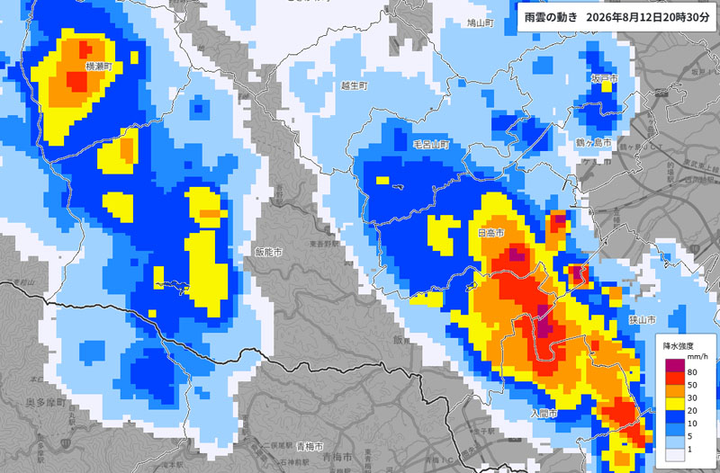 雨雲の位置。入間市・日高市・狭山市・横瀬町などの強雨エリアあり＝12日午後8時30分発表、気象庁より