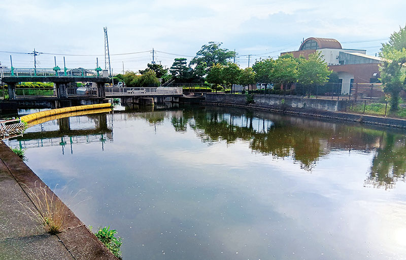久喜市と幸手市の市境を流れる葛西用水路と琵琶溜井。右側は久喜市栗原の葛西用水琵琶溜井記念館