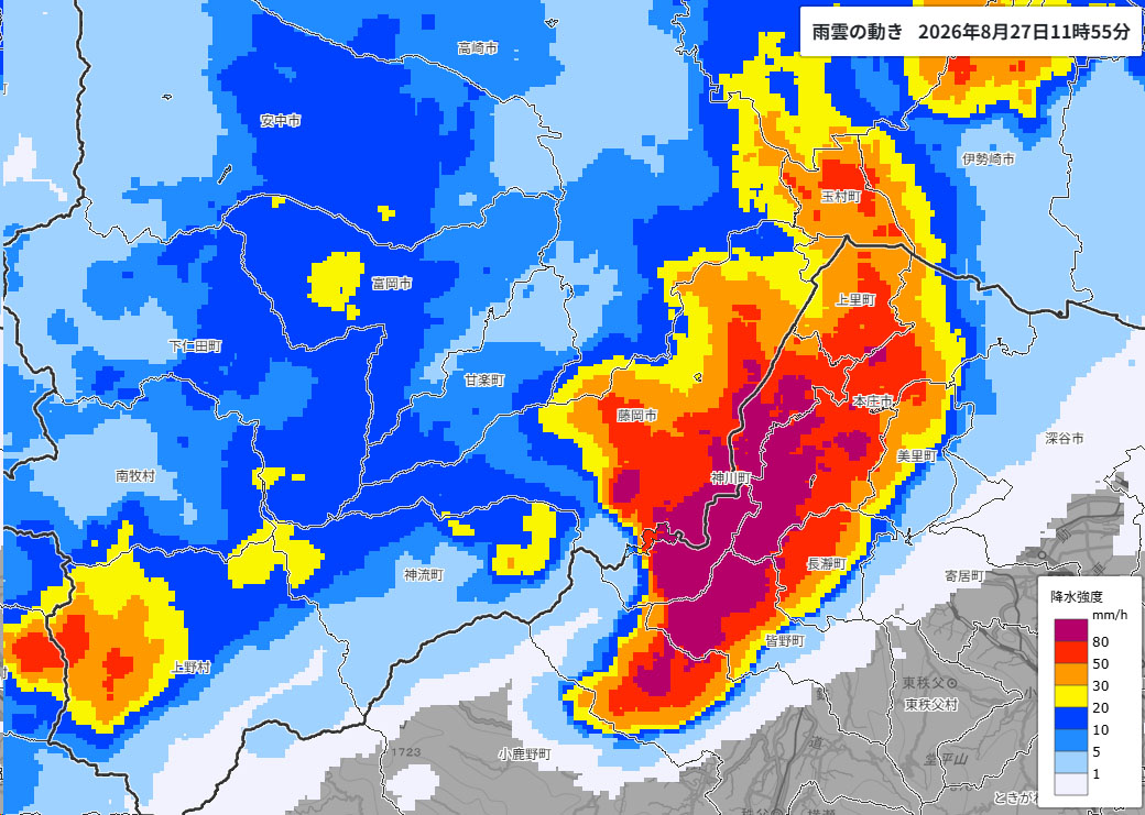 雨雲の位置。27日午前11時55分時点。強雨の雨雲が本庄市周辺を覆う＝気象庁より