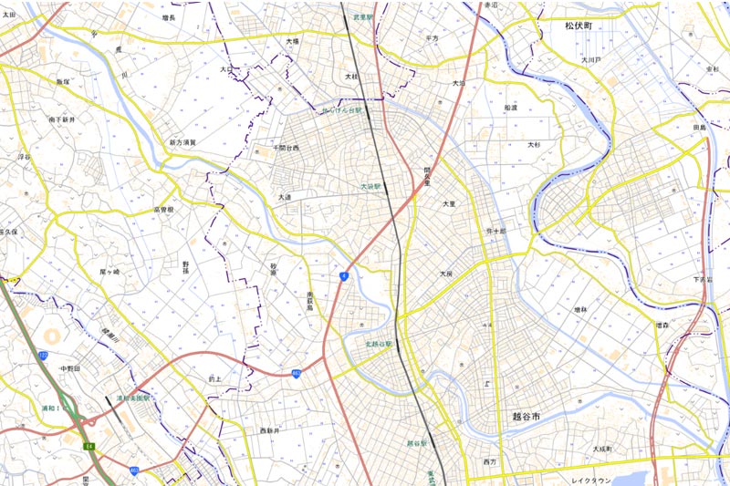 越谷市大竹の周辺（国土地理院HPより）