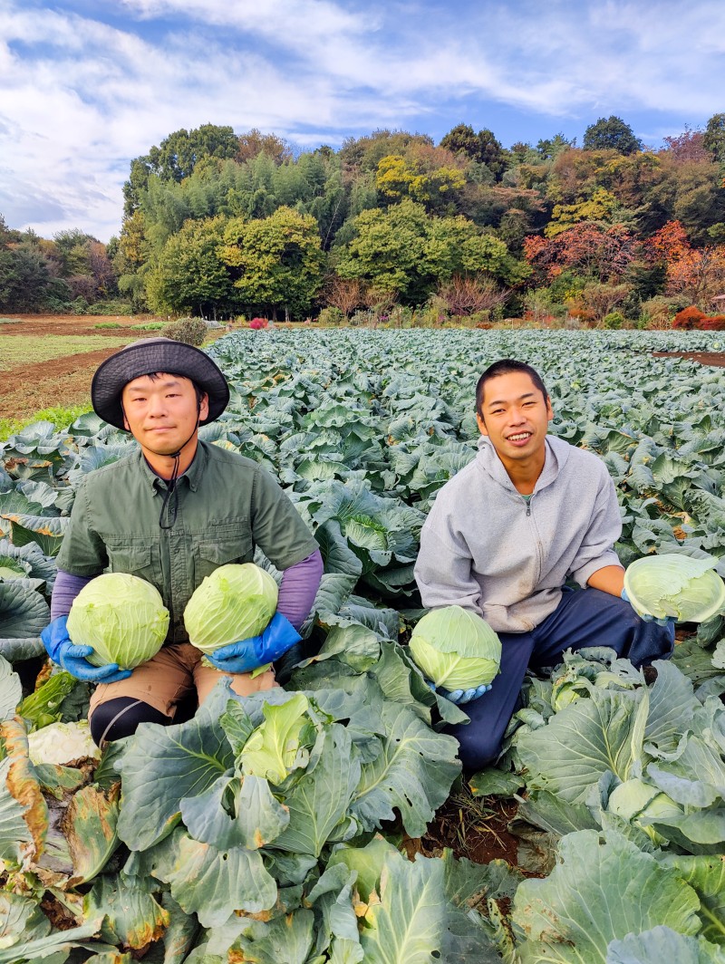 ぎょうざの満洲が手がけている自社農園（ぎょうざの満洲提供）＝鶴ヶ島市脚折