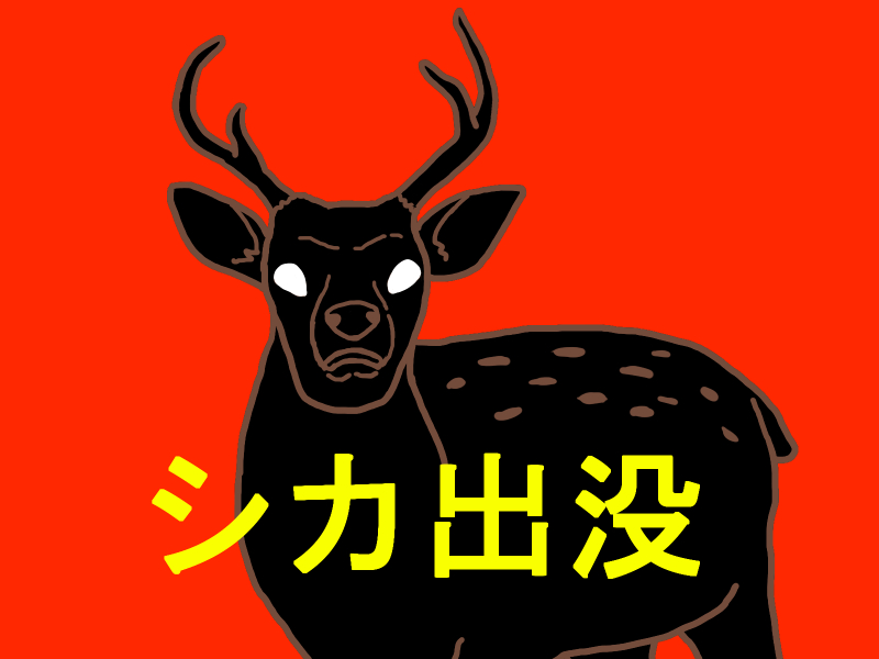 シカイメージ