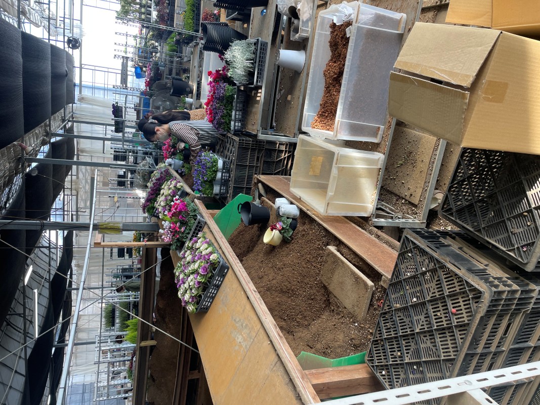 寄せ植えを1鉢ずつ仕上げる熟練のスタッフ＝鴻巣市の広田農場（フラワーロジテム提供）