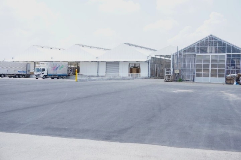 フラワーロジテムの商品加工・流通拠点「鴻巣広田農場」＝鴻巣市広田（フラワーロジテム提供）