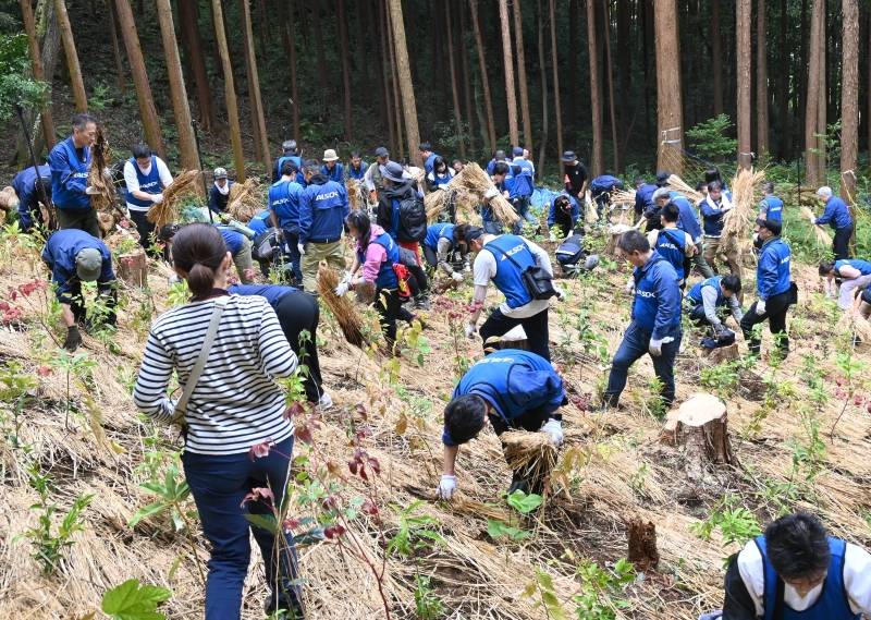 植樹する参加者ら＝3日、毛呂山町