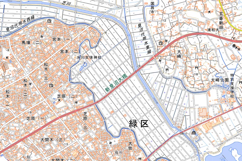 新見沼大橋の周辺（国土地理院HPより）