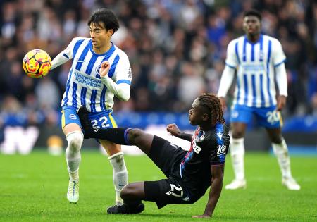 ブライトン ドリルトップ24/25 三笘所属 ブライトン ドリルトップ24/25