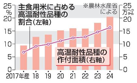 主食用米に占める高温耐性品種の割合と作付面積