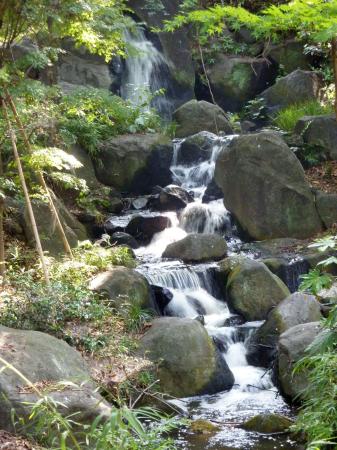 　北の丸公園内の滝＝東京都千代田区